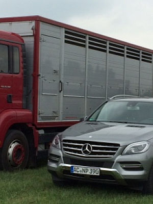 Symbolfoto Index 139362466